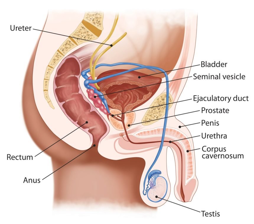 Erectile Dysfunction Hospital in Gota