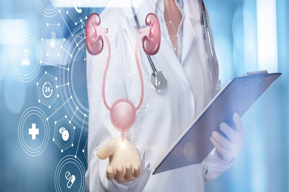 Urologist Doctor in Gota
