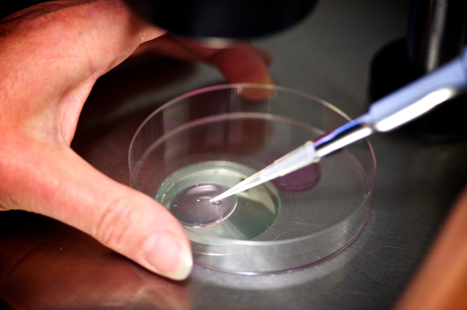 infertility specialists in Gota