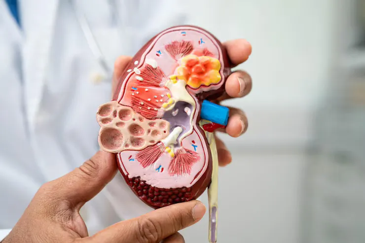 When to See a Urologist in Ahmedabad