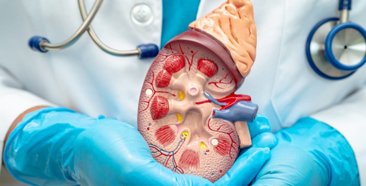 Best Robotic Nephrectomy Surgery in Ahmedabad