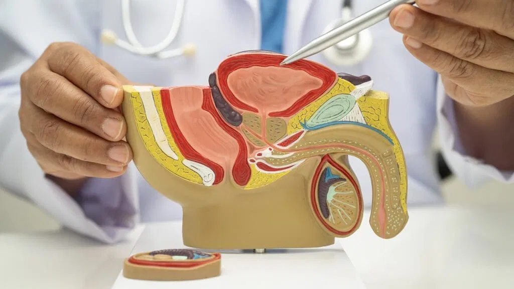 Prostate operation cost Ahmedabad TURP HoLEP radical prostatectomy prostate laser surgery Dr. Hardik Yadav urologist